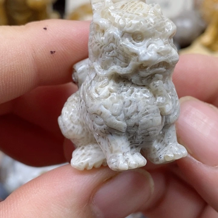 颈饰未镶嵌硅化珊瑚（珊瑚玉）