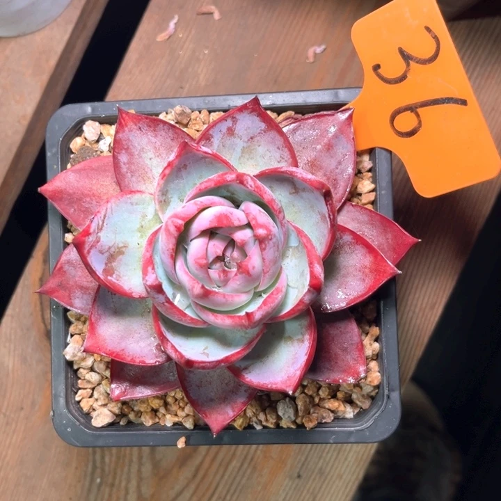 完一个人的时候了解一下