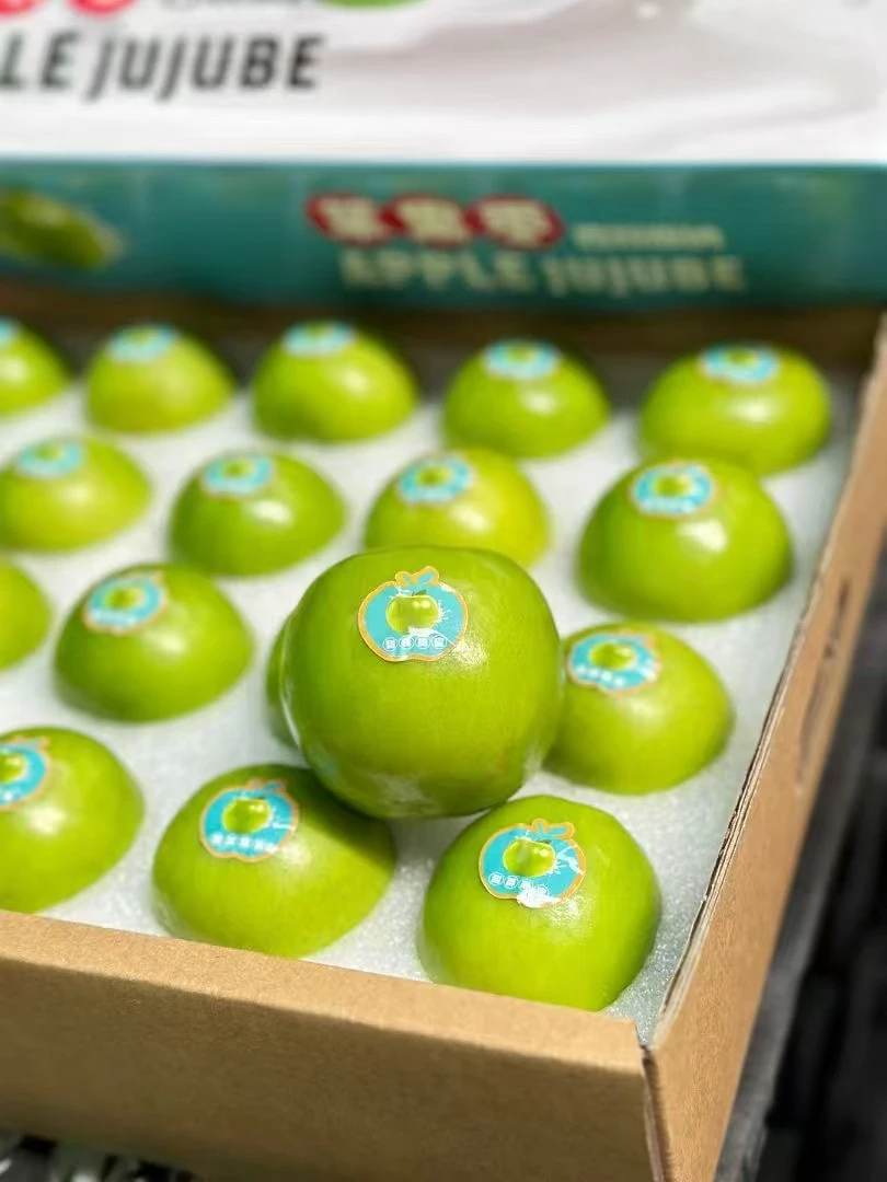 云南西双版纳苹果枣脆皮大果新鲜纯甜青枣贵妃枣