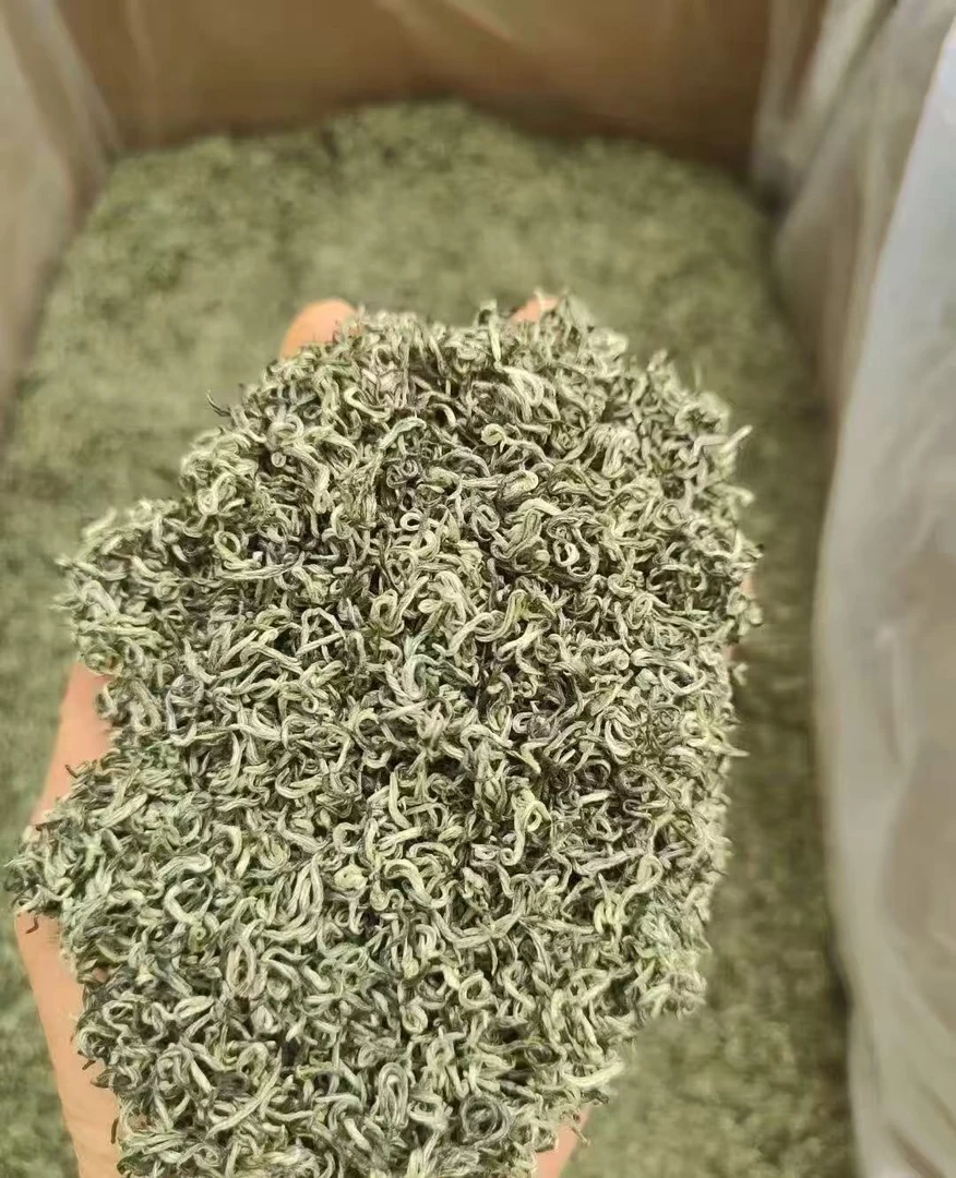 《2025-福利款》碧螺春 花香浓郁 回甘鲜甜