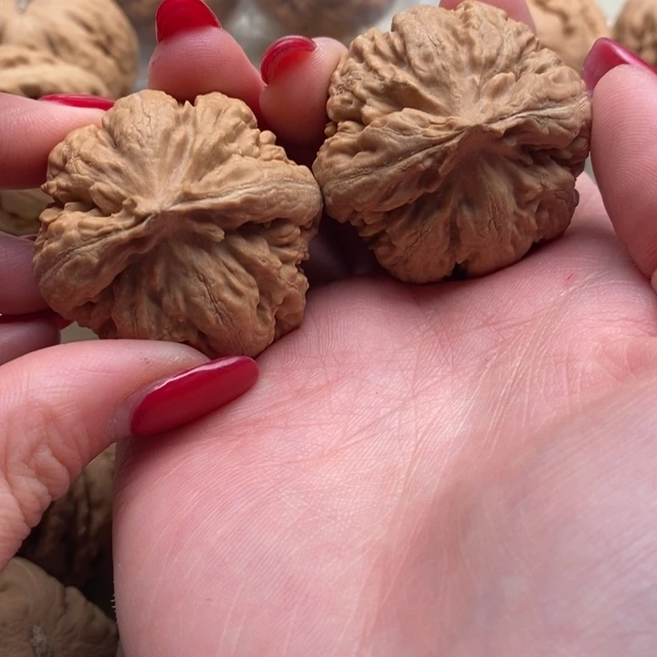 H***J文玩核桃把件霸王龙