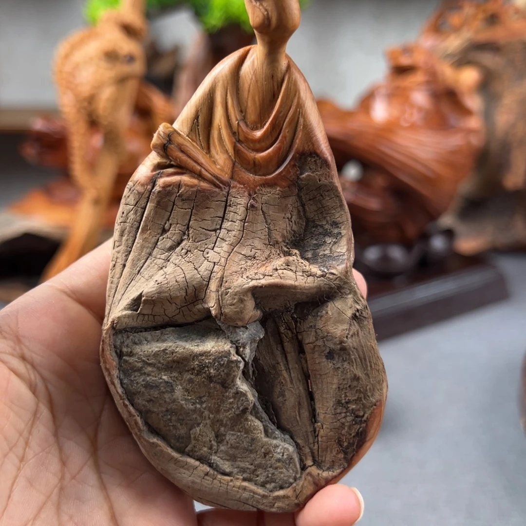 柏木（崖柏）崖柏太行山脉