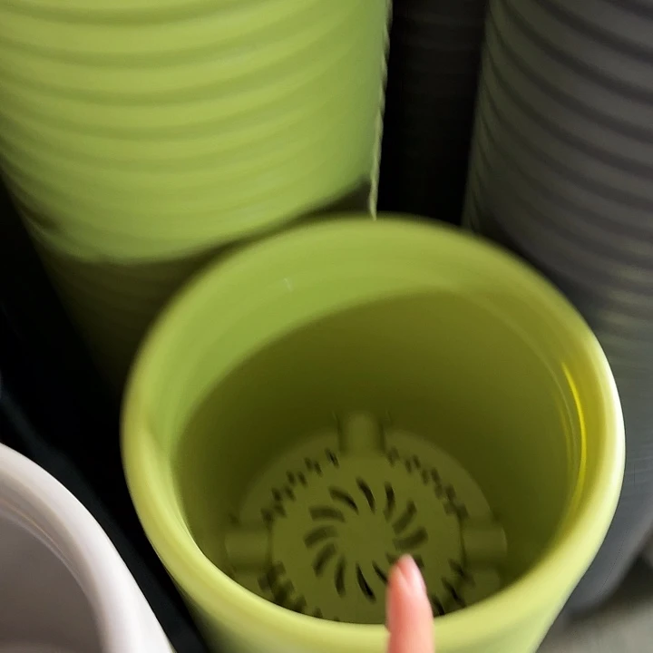 四季5号果绿无托6个特价微瑕