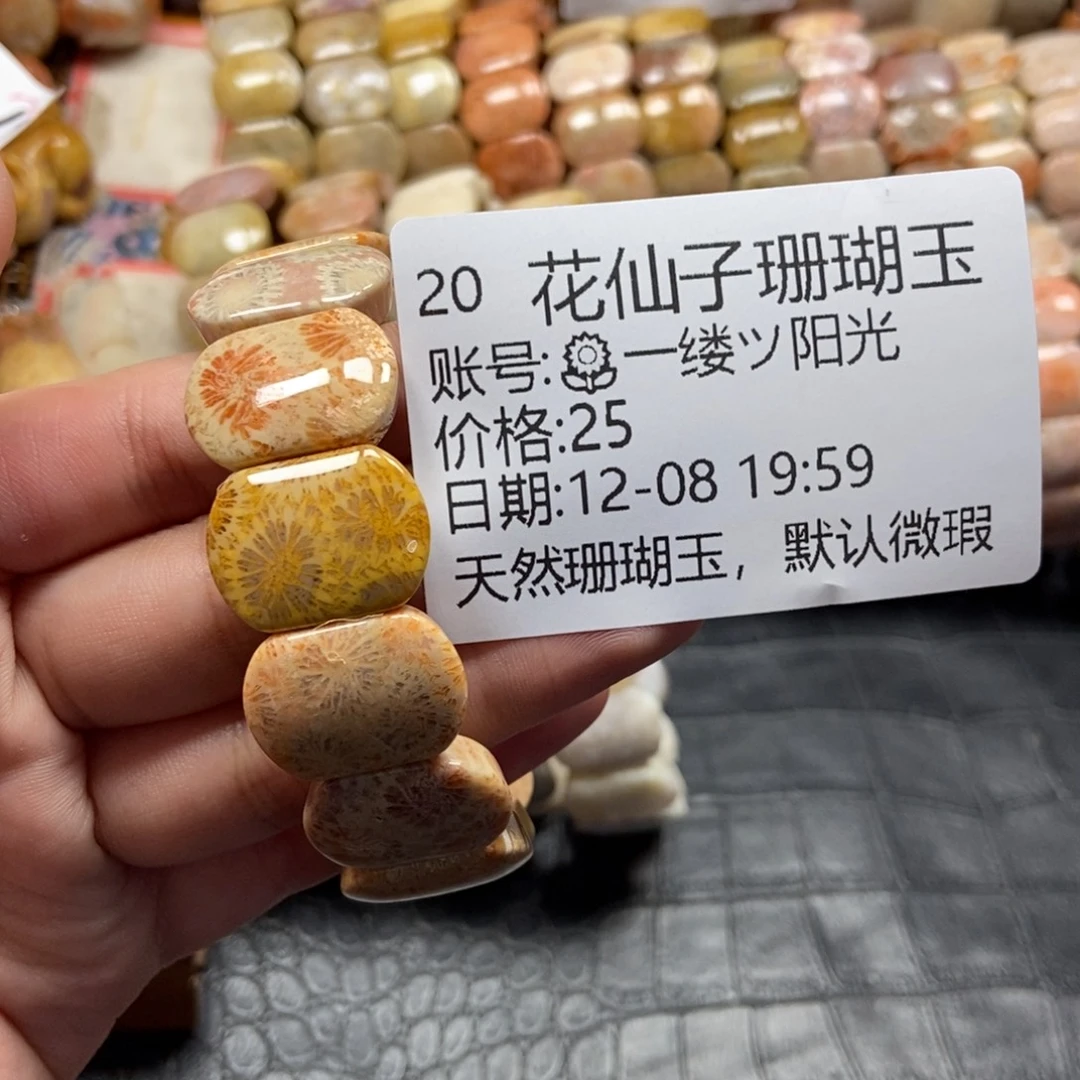 ****光硅化珊瑚（珊瑚玉）未镶嵌珠宝半成品20