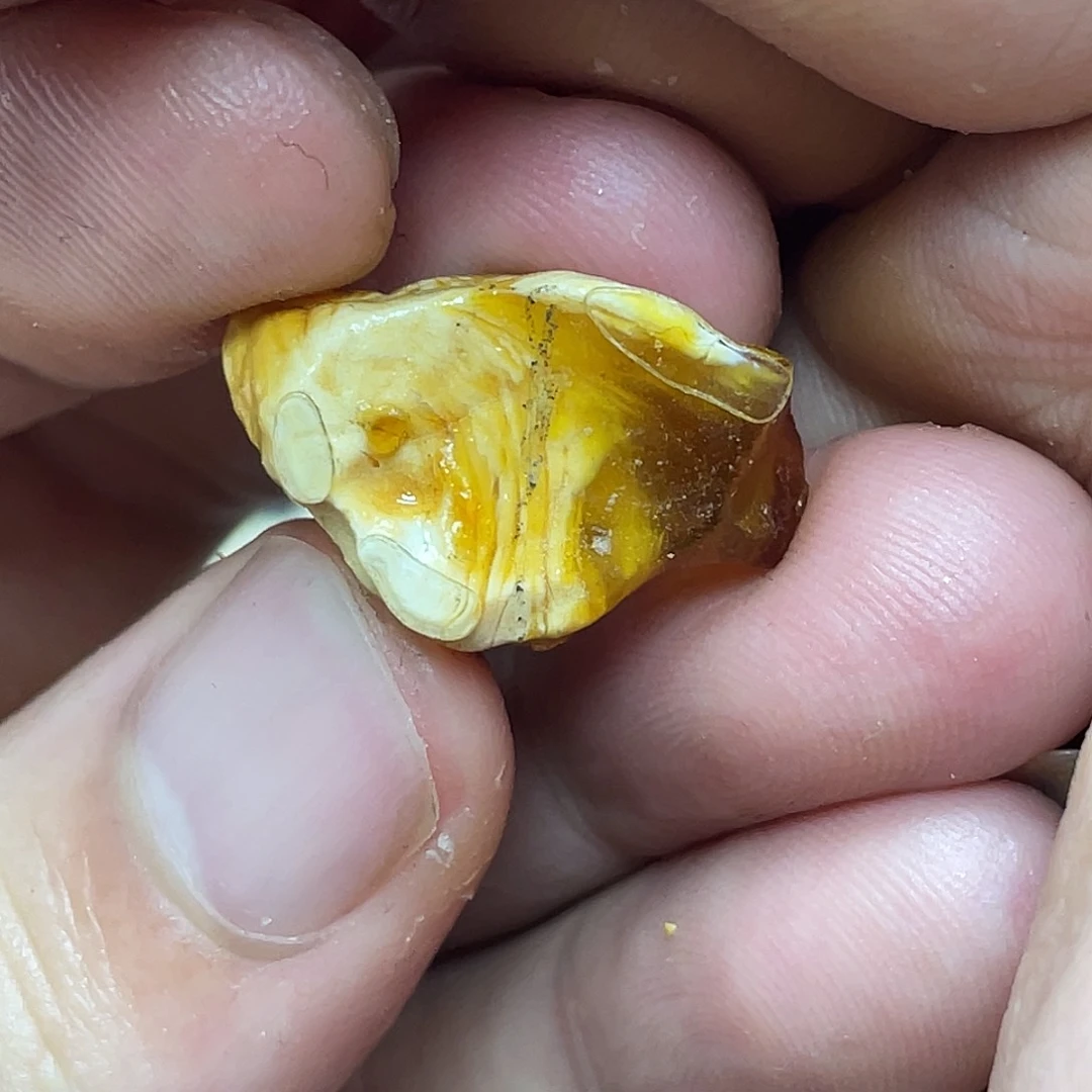 定制琥珀未镶嵌P****Z