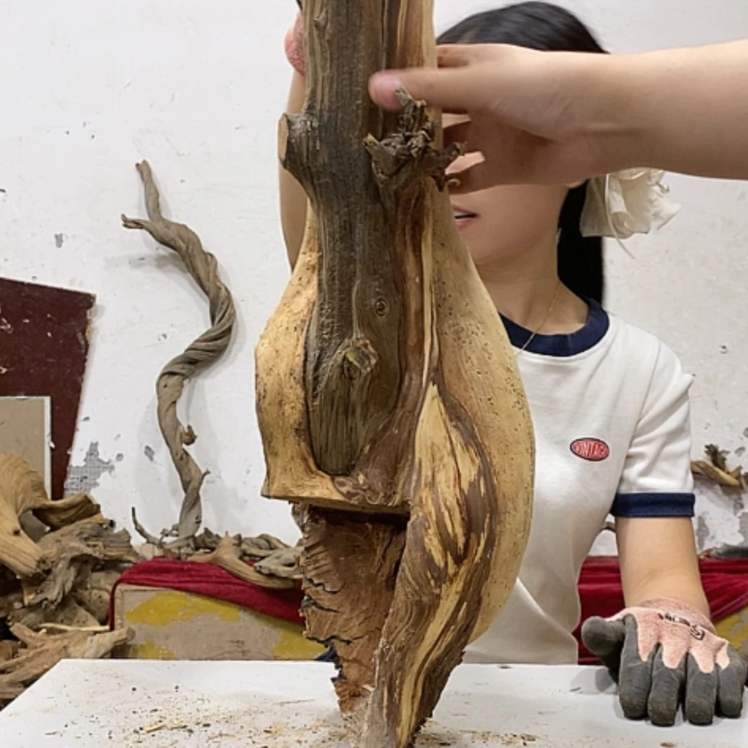 【闪购商品】柏木不****头我们都是好孩子