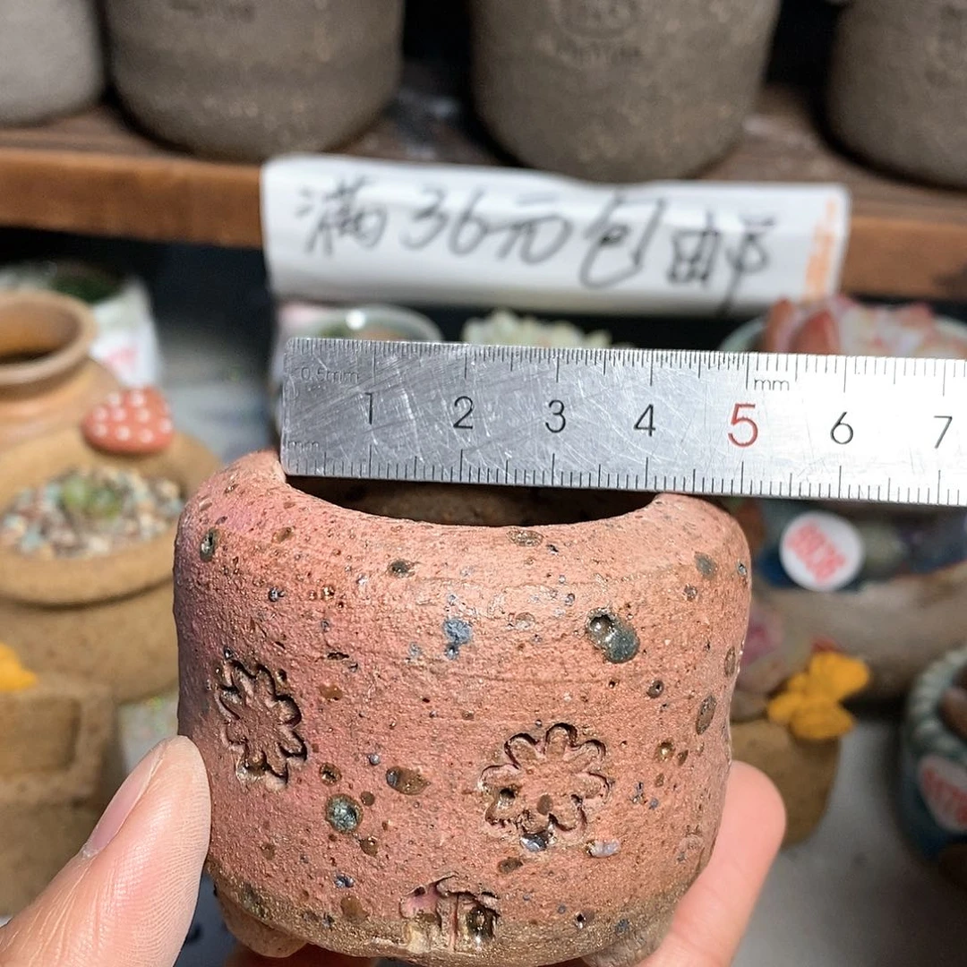 红陶拍5送一个小