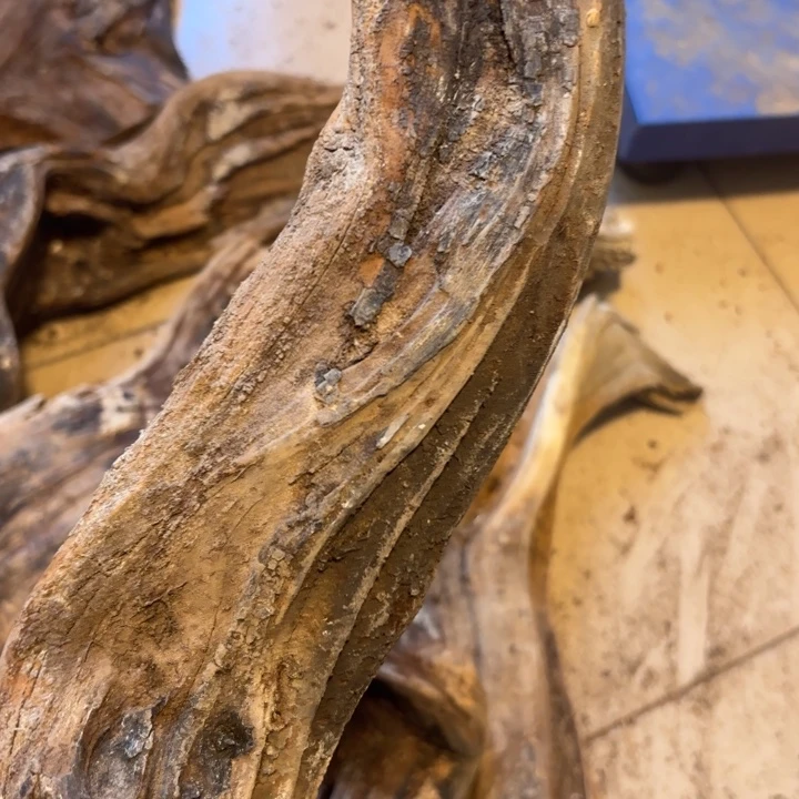 彭***琪木太行崖柏太行崖柏