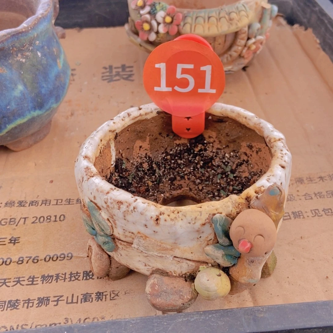 ****m花盆暇。