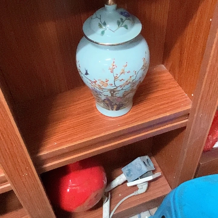 林***1景德镇陶瓷手工手绘花瓶摆件