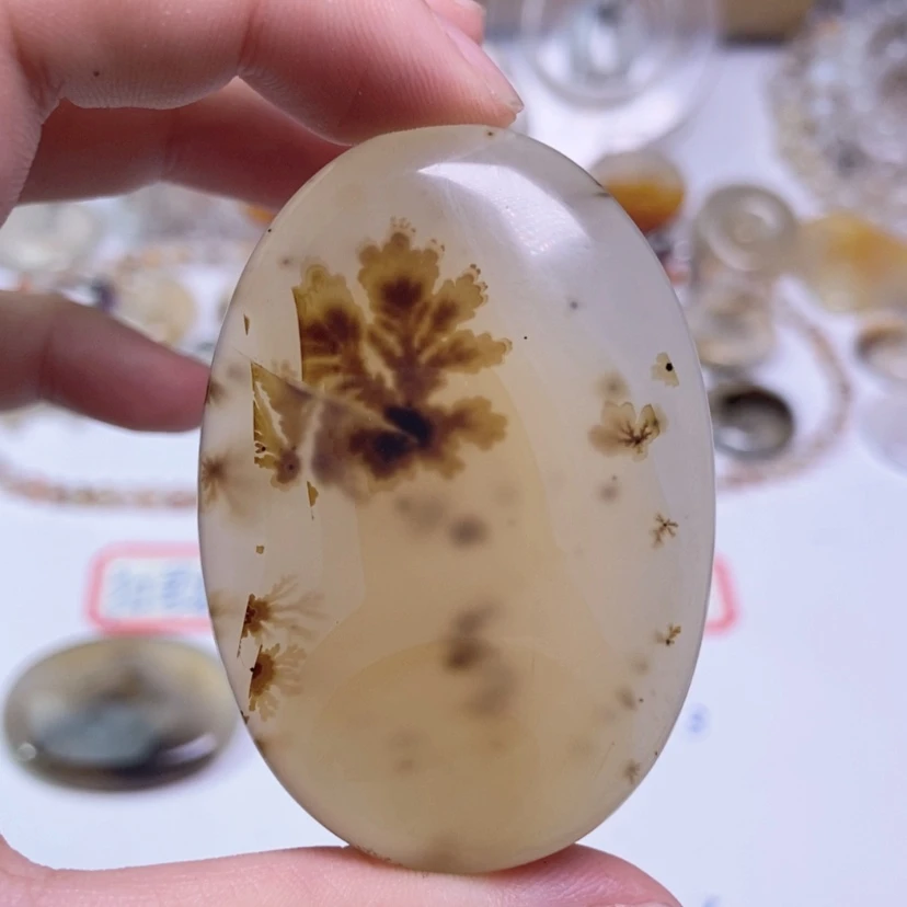 【闪购商品】玛瑙/玉髓颈饰未镶嵌