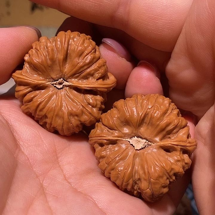 文玩核桃把件40金蟾凹底