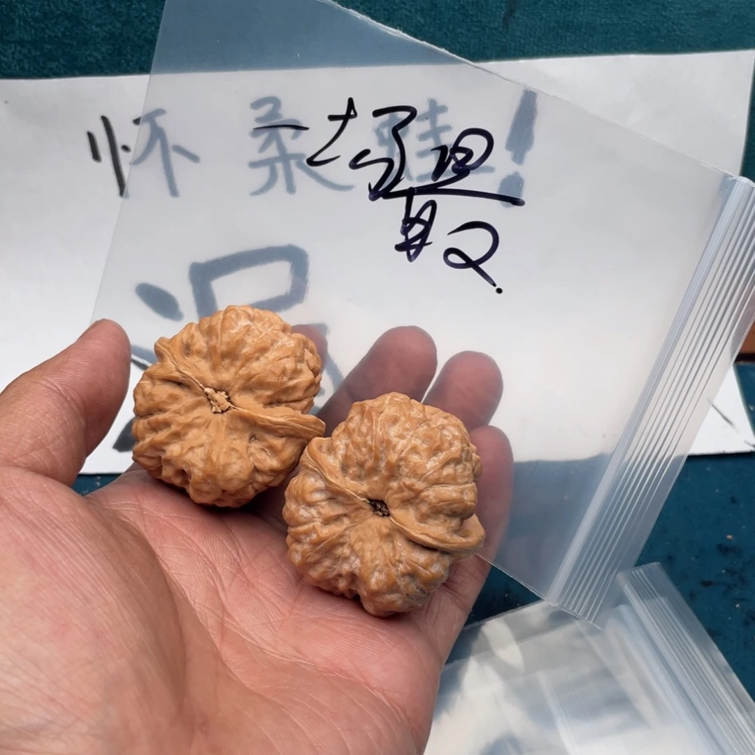 核桃537735753735537357357