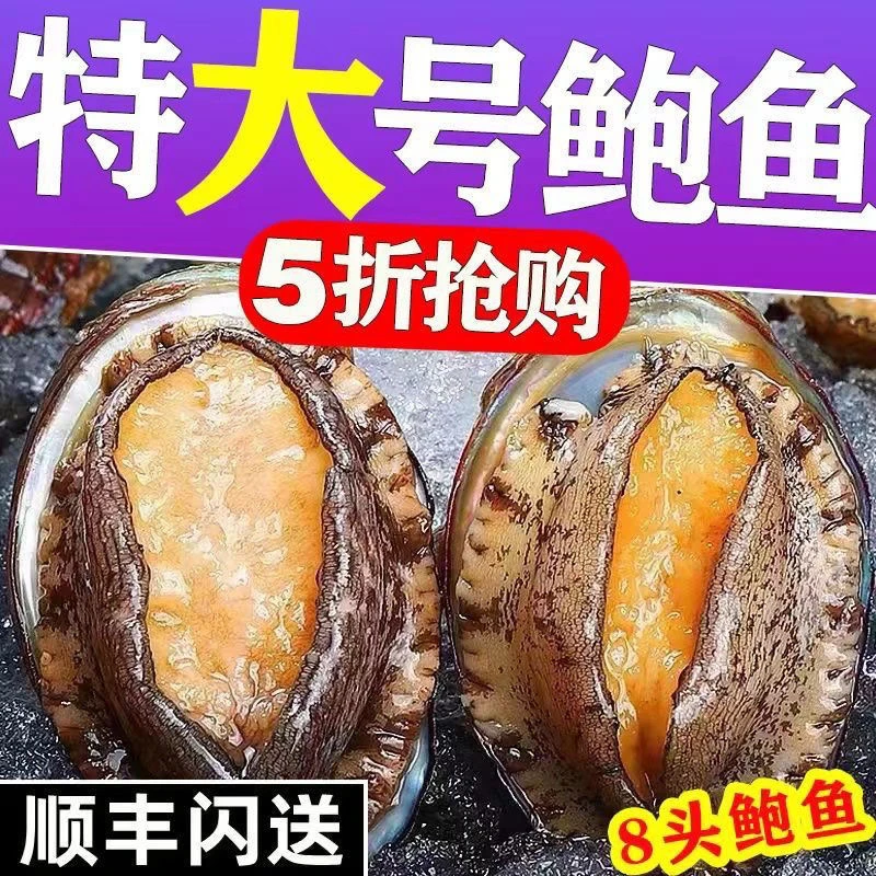 鲜活新鲜特大海捕活冻东山岛海鲜水产商用冷冻冷冻海鲜