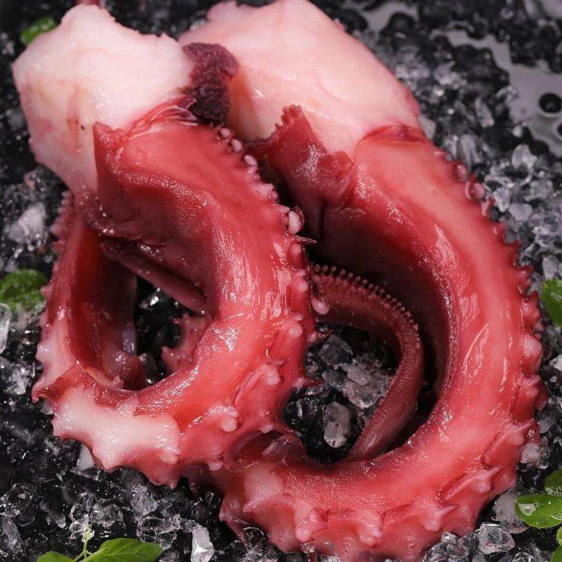 精选超大章鱼足 日料食材 章鱼小丸子