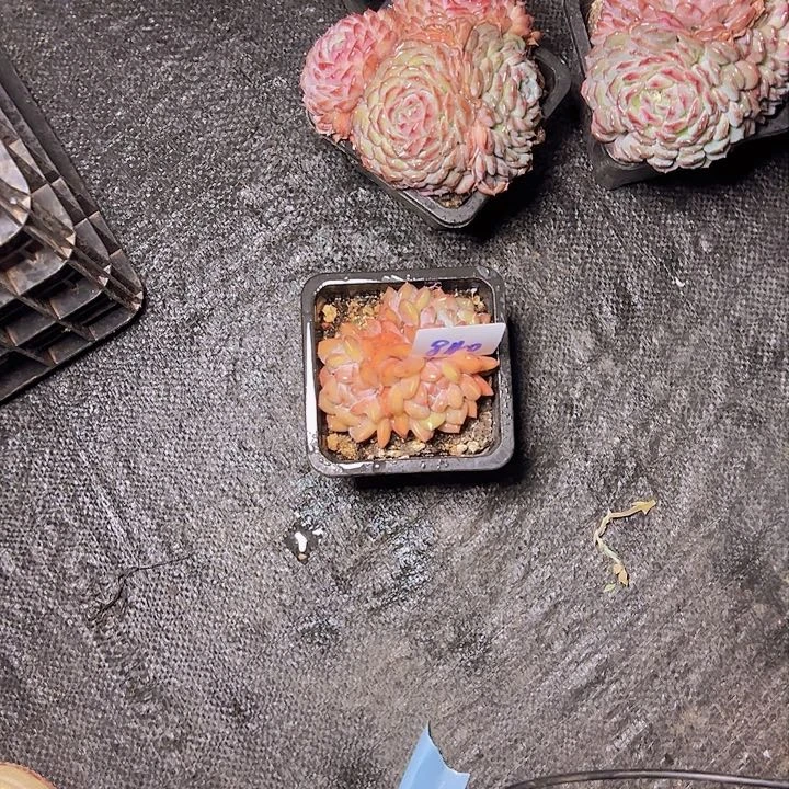 起**窗840/////////////////