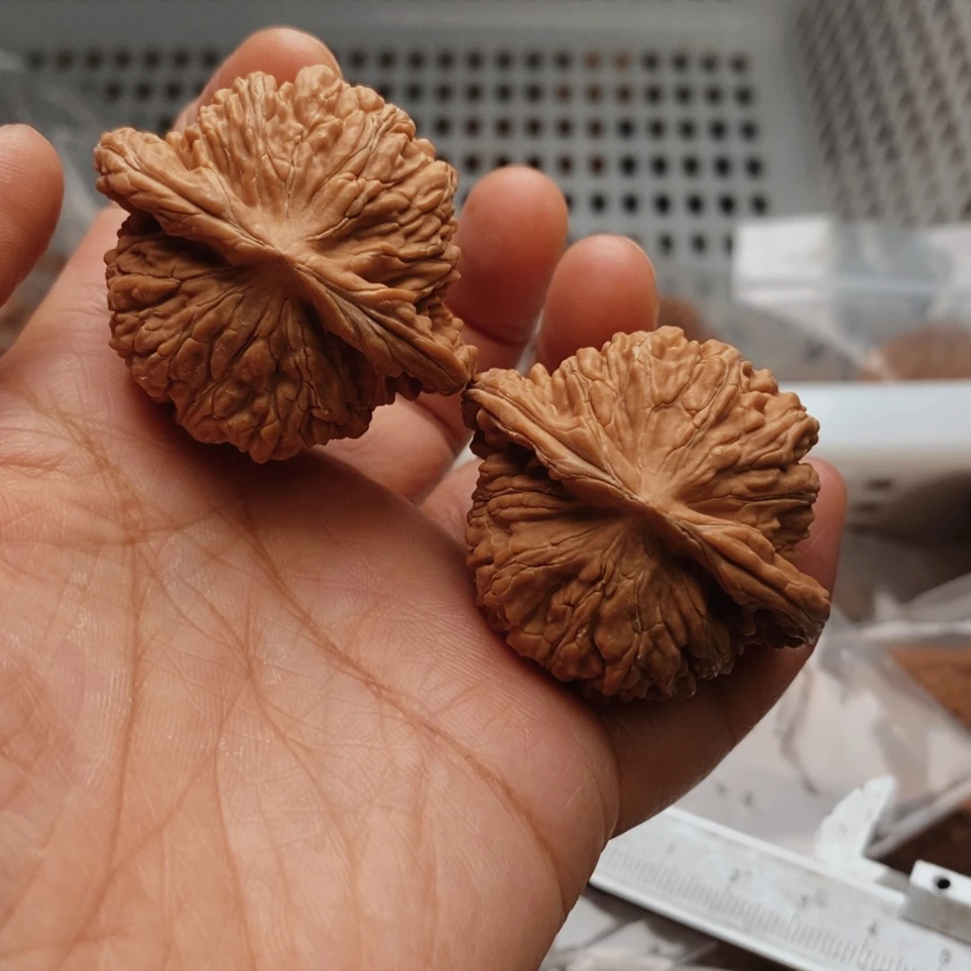 文玩核桃把件汉高楼41尺