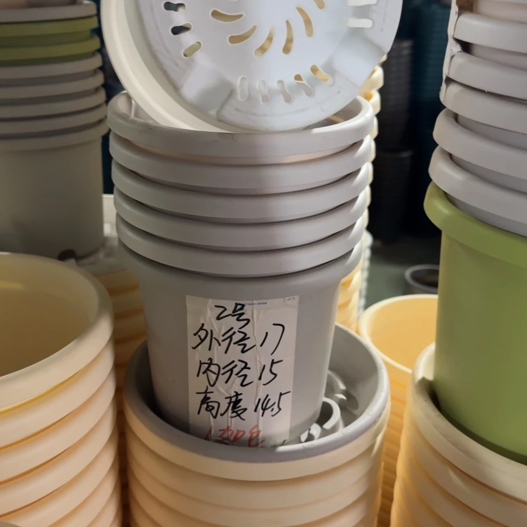 四季2#口径17无拖果绿6个