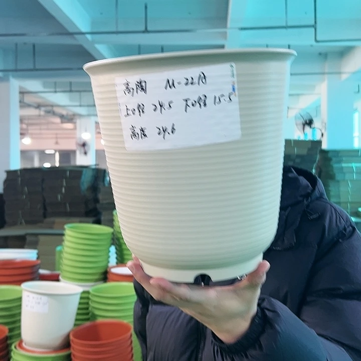 正品高陶口24.5高24.6米色无托5只