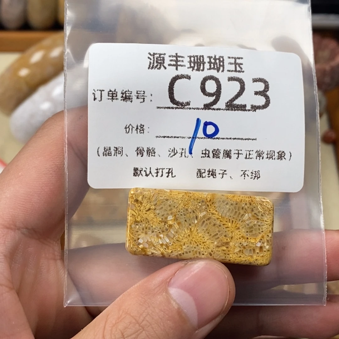 A***外硅化玉未镶嵌颈饰