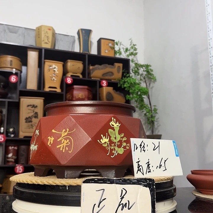 紫砂花盆盆友记紫砂