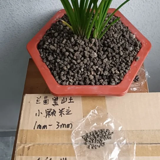 派***裤兰菌黑山土小颗粒6.6斤