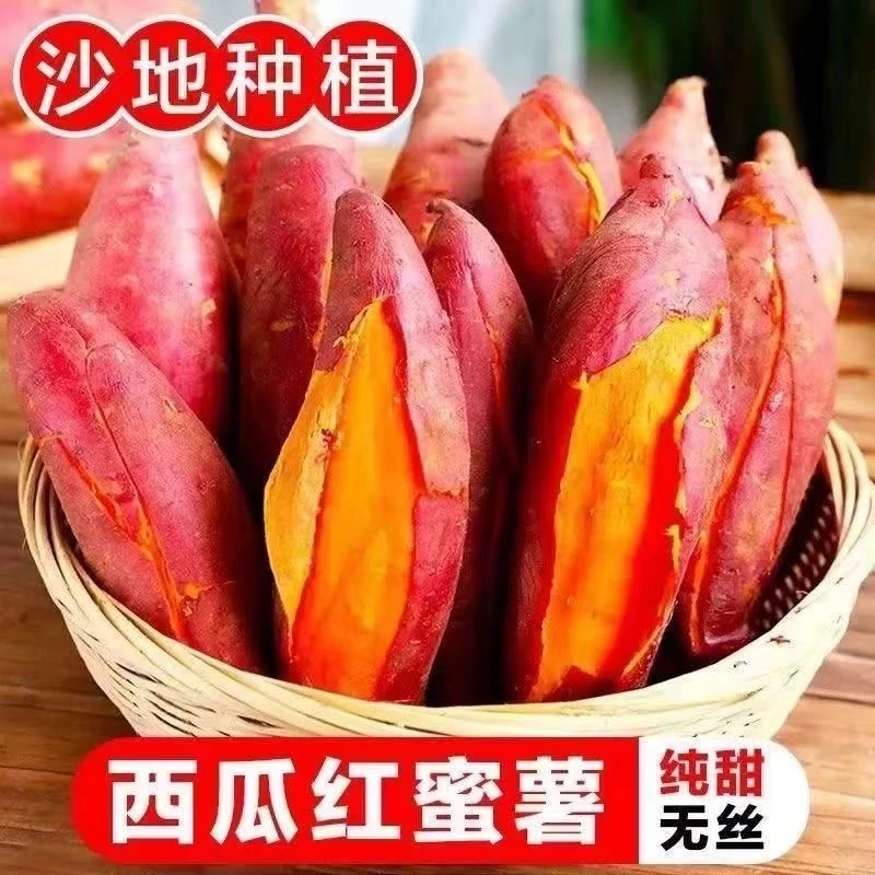 【新鲜现挖】河南沙地西瓜红蜜薯红心番薯3斤5斤地瓜香甜软糯