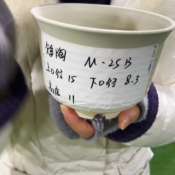正品矮陶口15高11白色无托10只