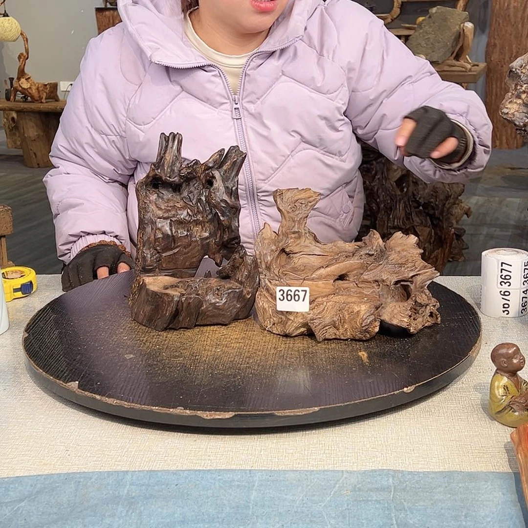 木欣*。3667 jvhghghvhgvcgggh