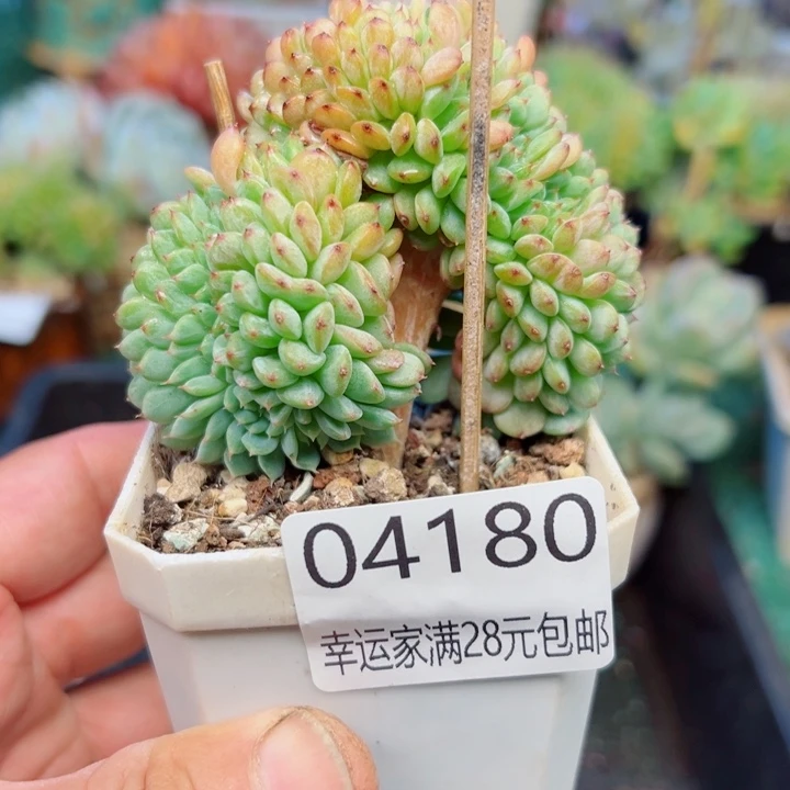 幸运的是我还没遇到