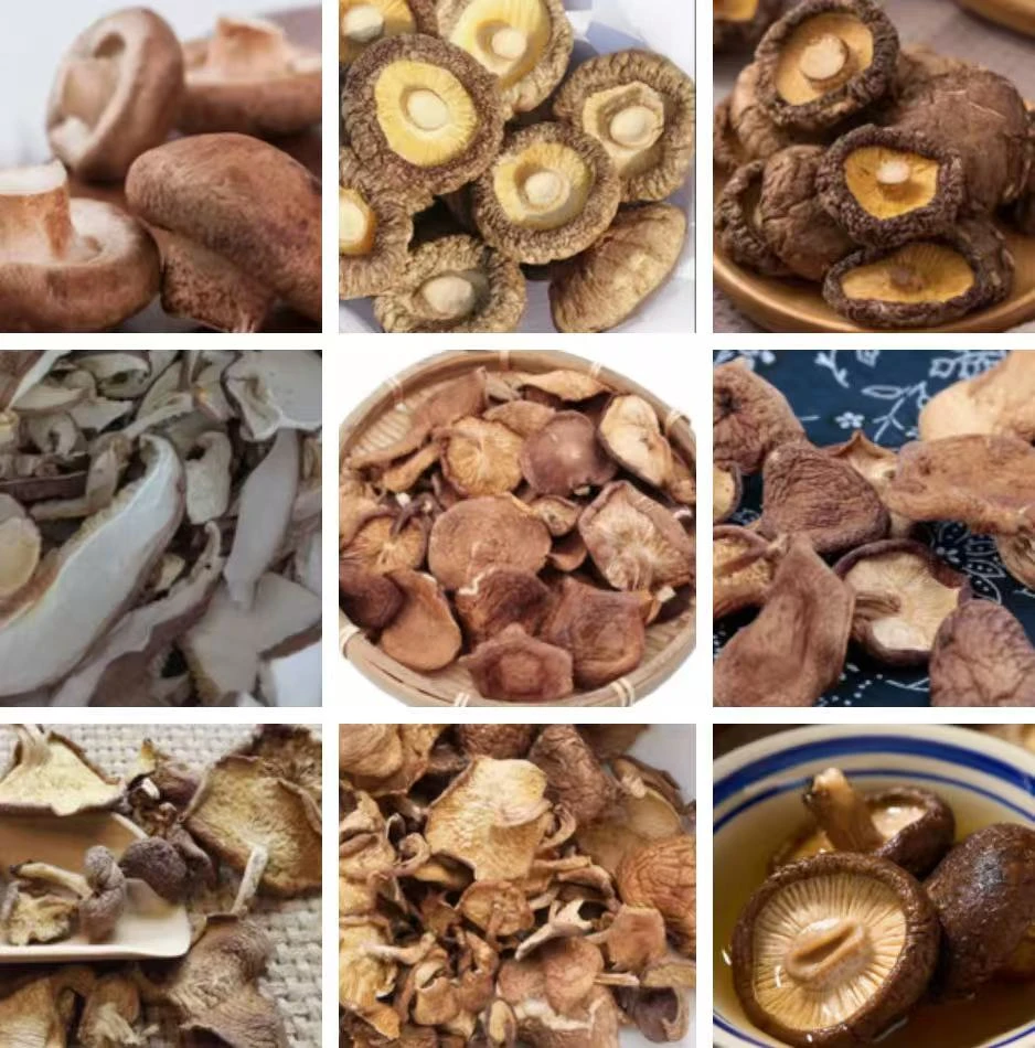 优质特产山货  香菇 B002