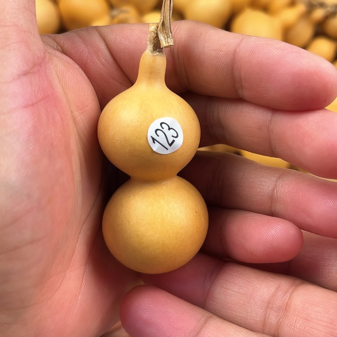 三葫芦葫芦葫芦葫芦 123