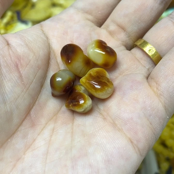 蜜蜡未镶嵌裸石多样性发货其一