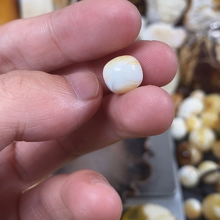 未镶嵌琥珀裸石零****⁹我