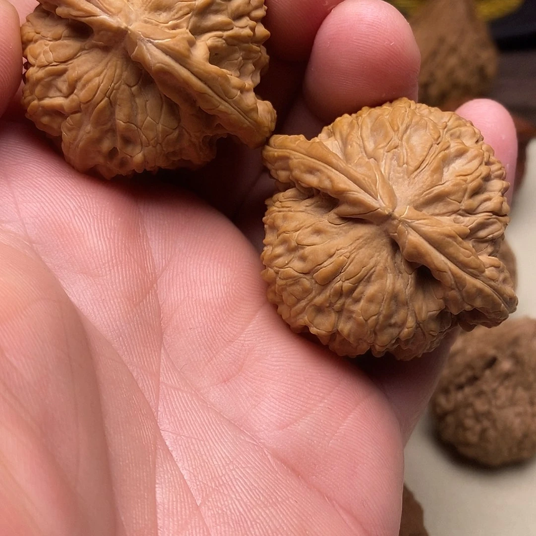 玉***安文玩核桃把件白狮子