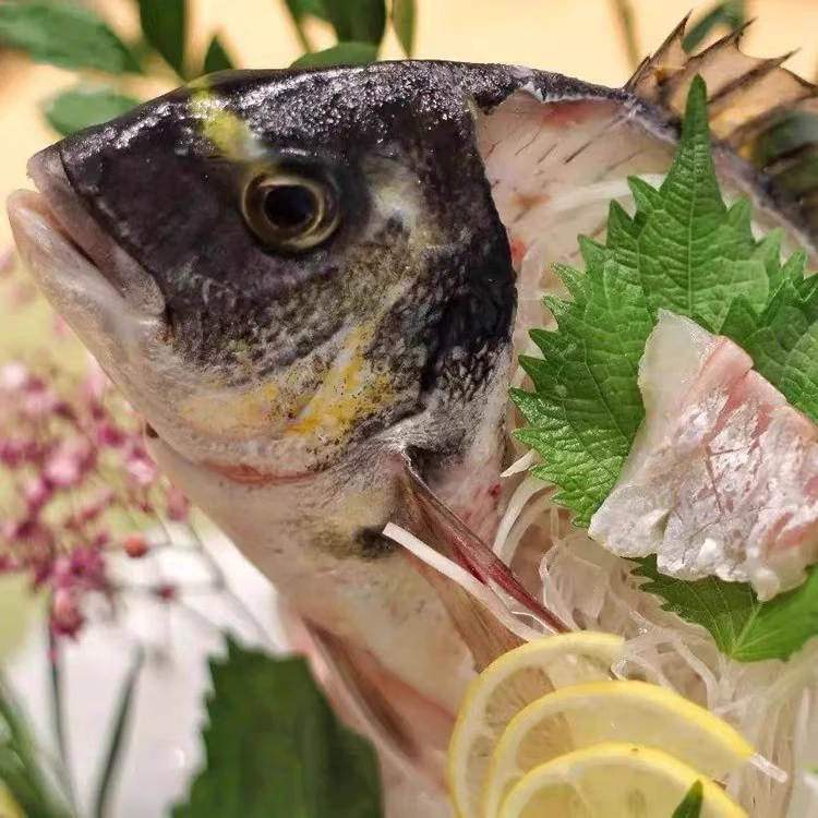 福建东海海捕海鱼。保底十斤。海鲜水产袋装顺丰