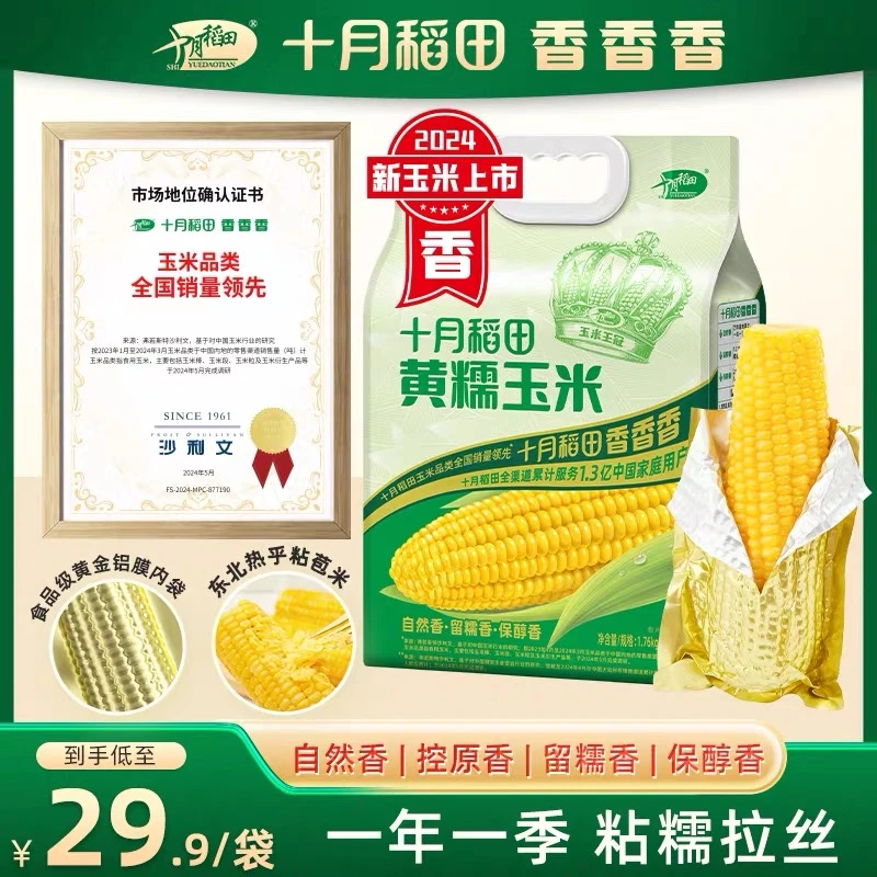 【24年新玉米】十月稻田黄糯白糯玉米香甜糯东北粘苞米可拉丝真空