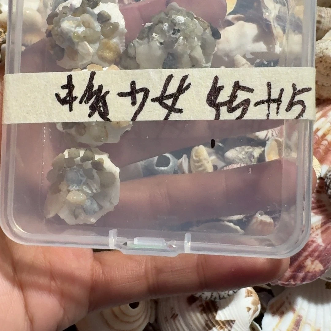 醉壳一物一拍四个