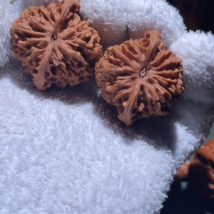 雅***菡满天星核桃核桃核桃