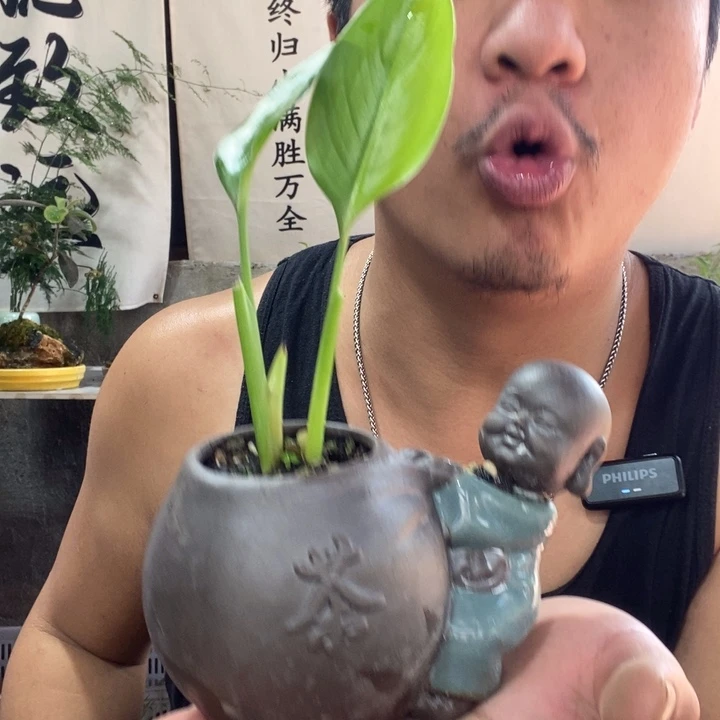 以实际为准退款拉黑拉黑125