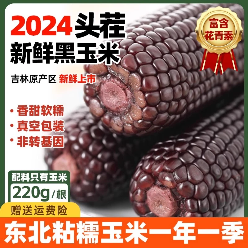 【2024新玉米】东北黑玉米棒新鲜甜糯粘黏非转基因玉米真空苞米粗粮
