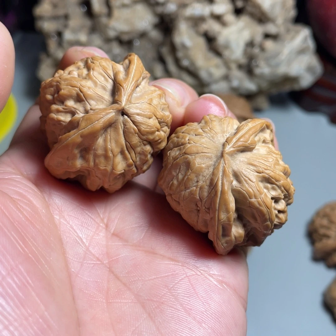 核桃手串/手链精品磐石飞蛇