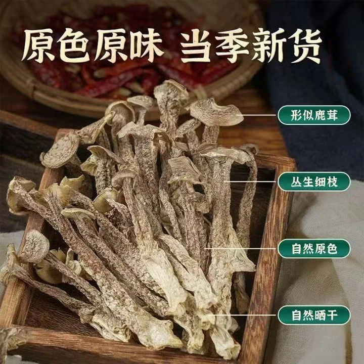 鹿茸菇干货鹿茸菌特产级脆脆菇蘑菇干煲汤新货无熏硫脆姑蘑菇