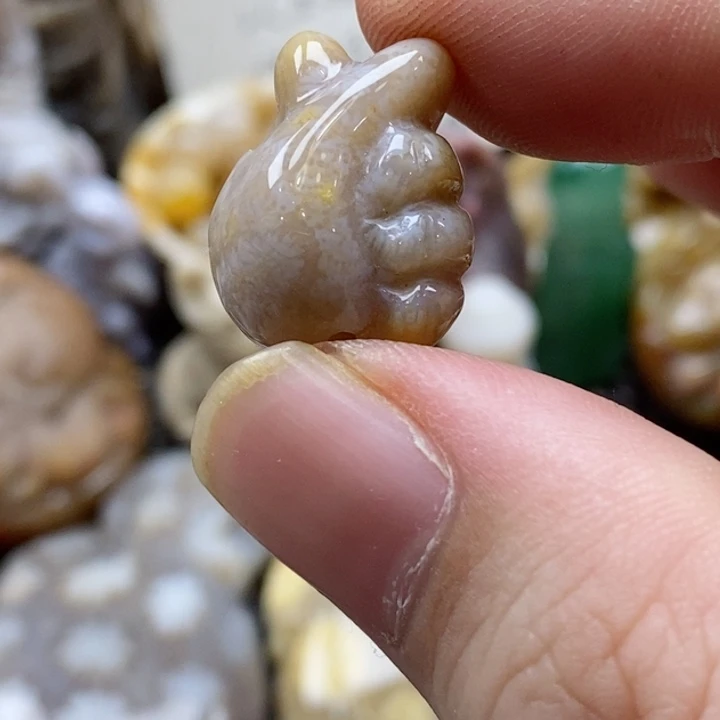 硅化珊瑚（珊瑚玉）颈饰未镶嵌依*通孔