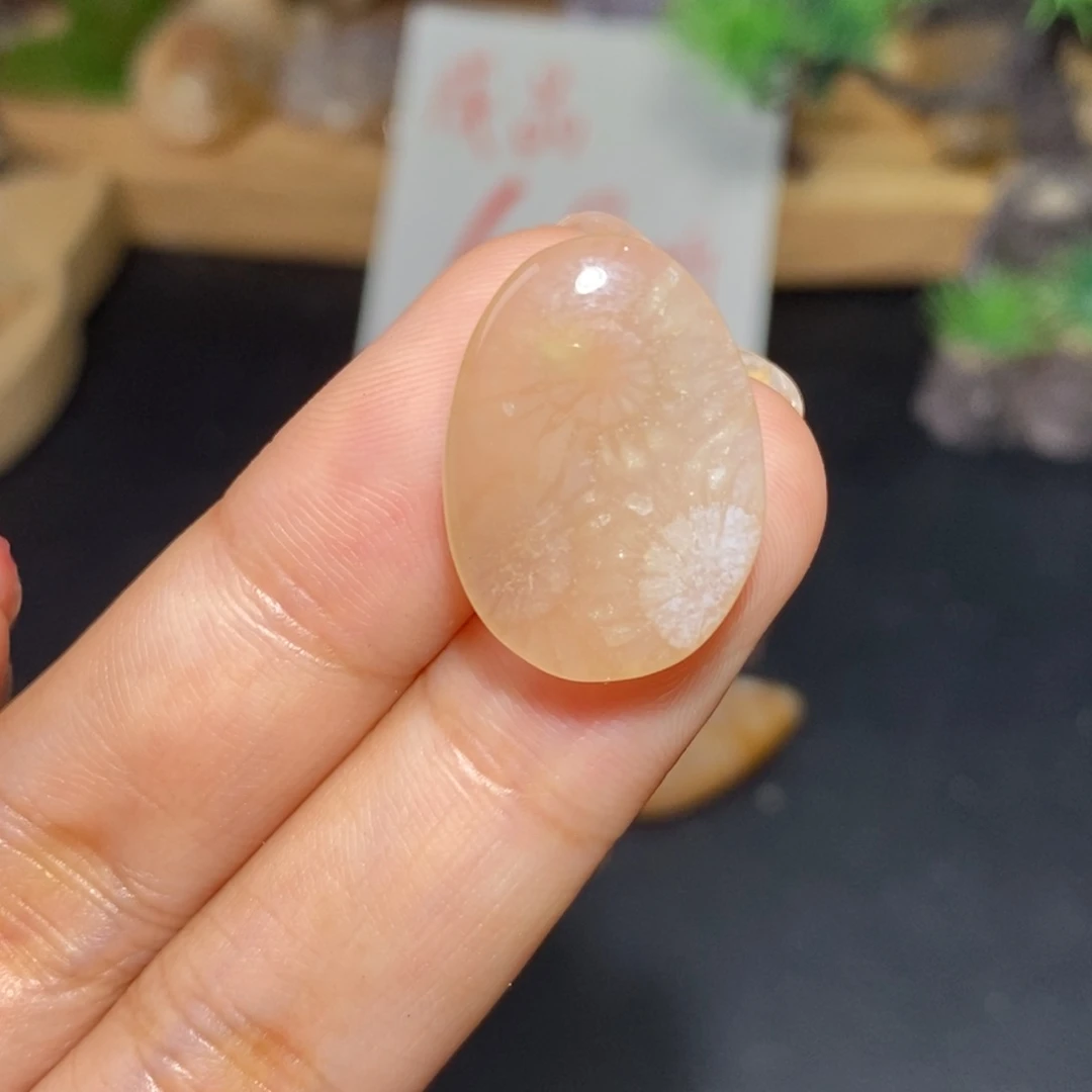 【闪购商品】硅化玉颈饰未镶嵌