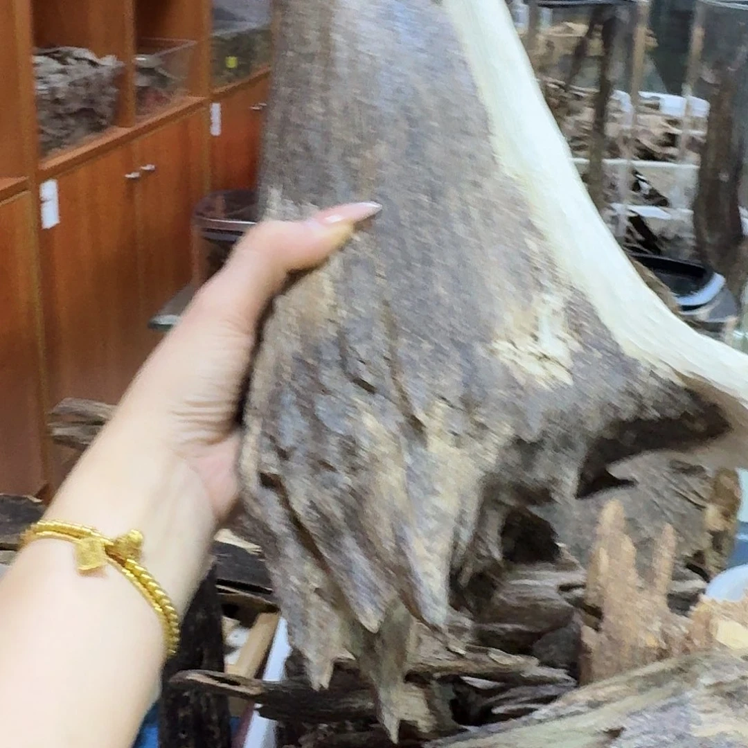 用***9沉香碎屑沉香海南沉香大壳虫漏485克