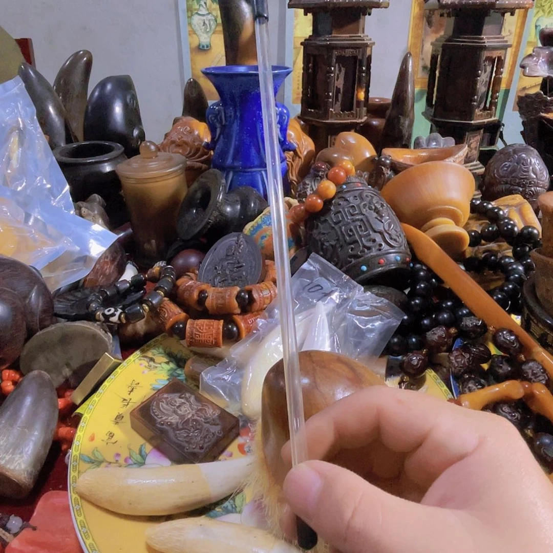 我的收藏已经开始啦。