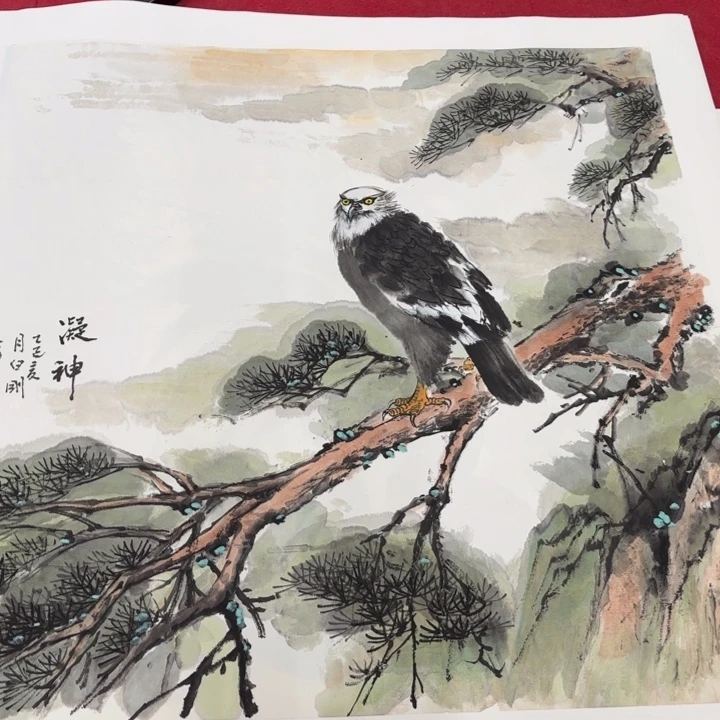 国画花鸟的翅膀和翅膀是一样