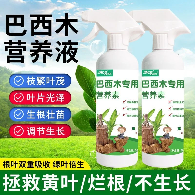 巴西木直喷型营养液水培巴旦木幸运木生根爆芽催芽巴西木专用肥料