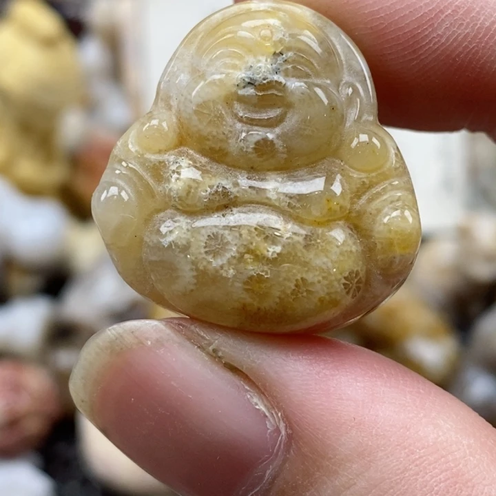 颈饰未镶嵌硅化珊瑚（珊瑚玉）有瑕 小